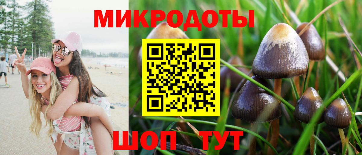 Галлюциногенные грибы ЛСД Магадан